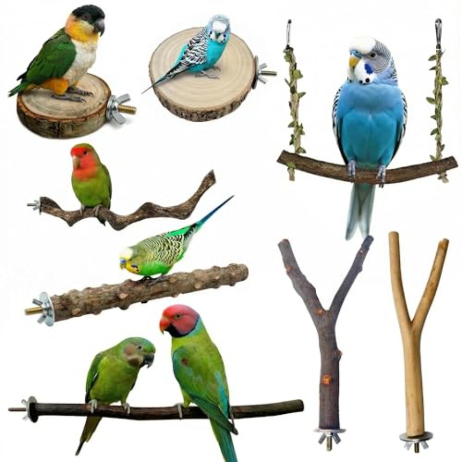 Health & Wellness Lafayette Reviews - 8PCS natural wood bird perches for