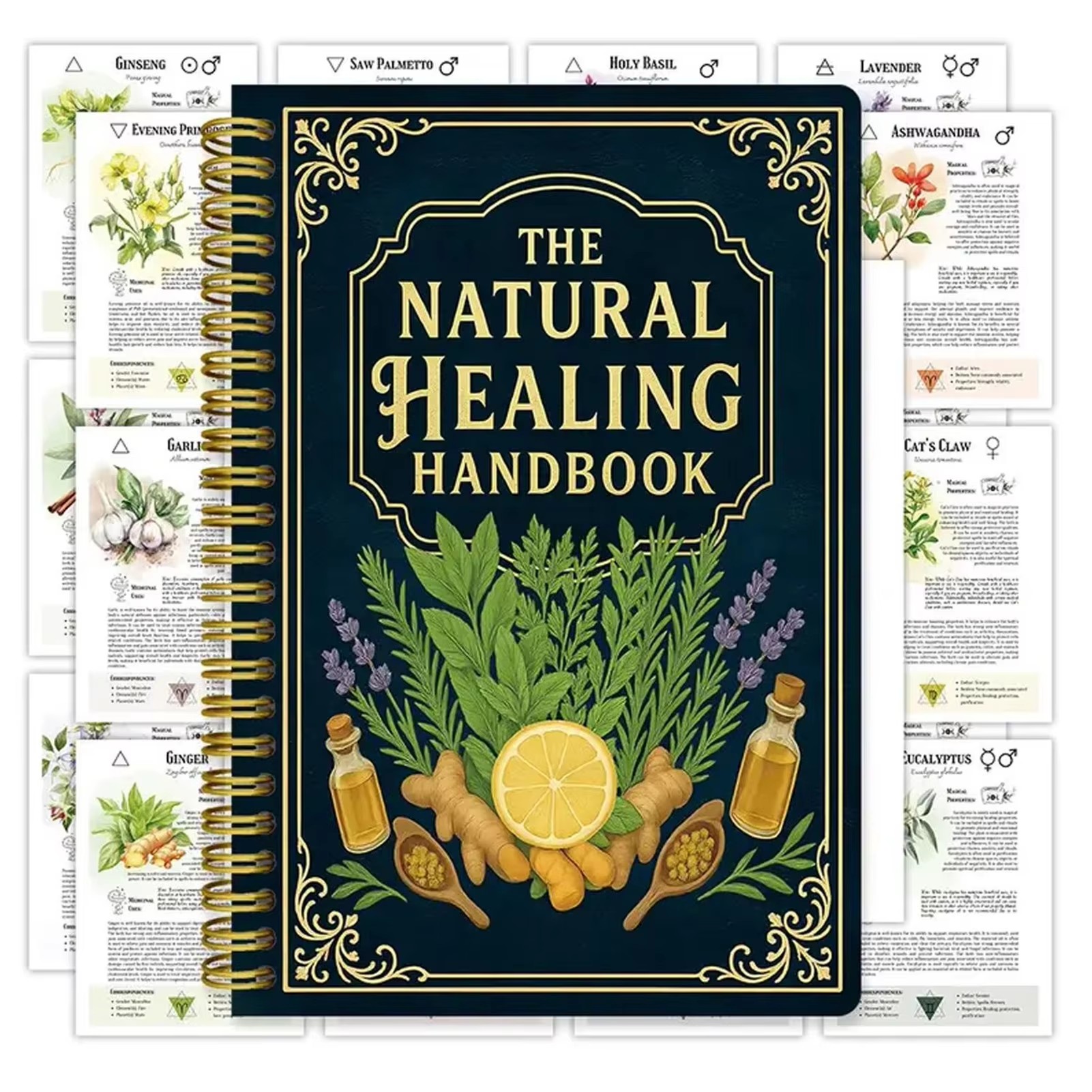 Health & Wellness Lafayette Reviews - Healing Handbook By Luna Filby English