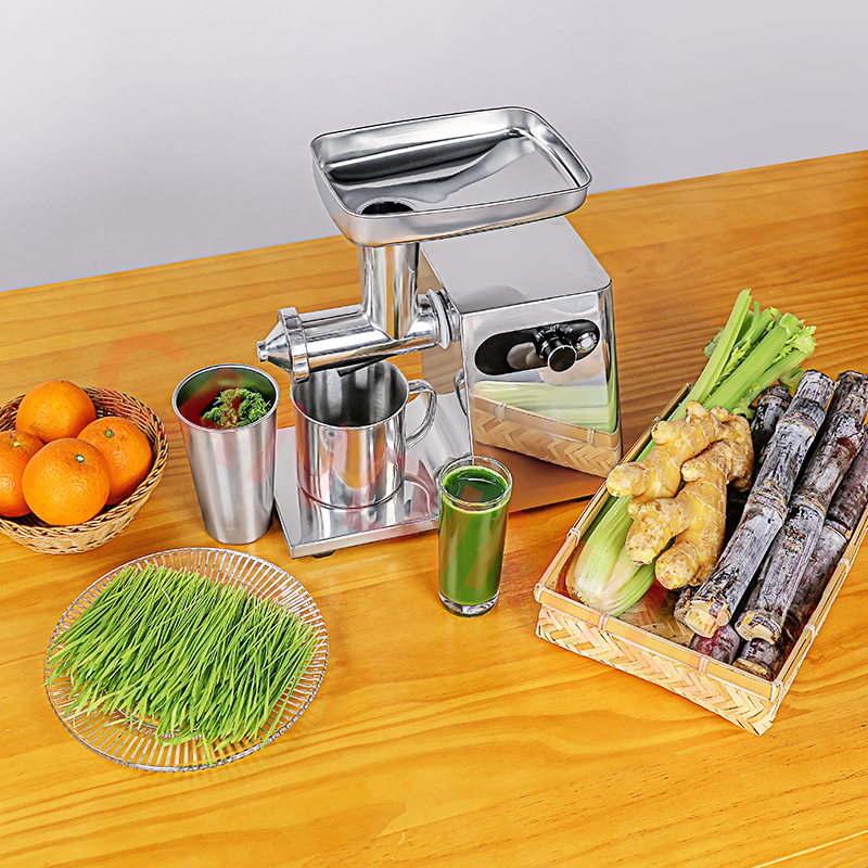 220V 200W Fruit Vegetable Juic - đánh giá và giá Cold Press Juicer