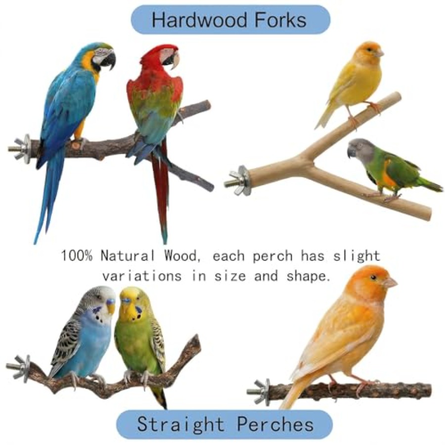 8PCS natural wood bird perches - đánh giá và giá Health & Wellness Lafayette Reviews
