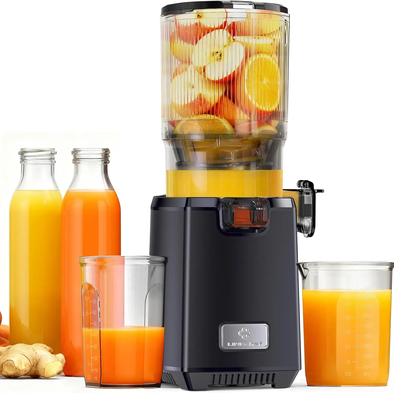 Cold Press Juicer Machines, 13 - đánh giá và giá Cold Press Juicer