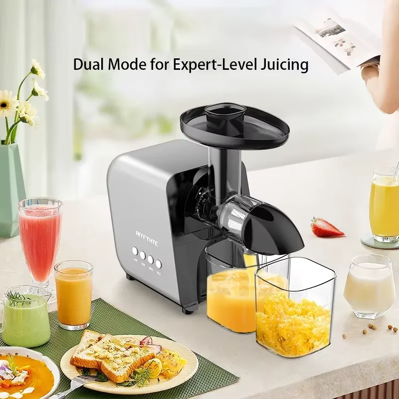 250W Slow Cold Press Fruit Jui - đánh giá và giá Cold Press Juicer