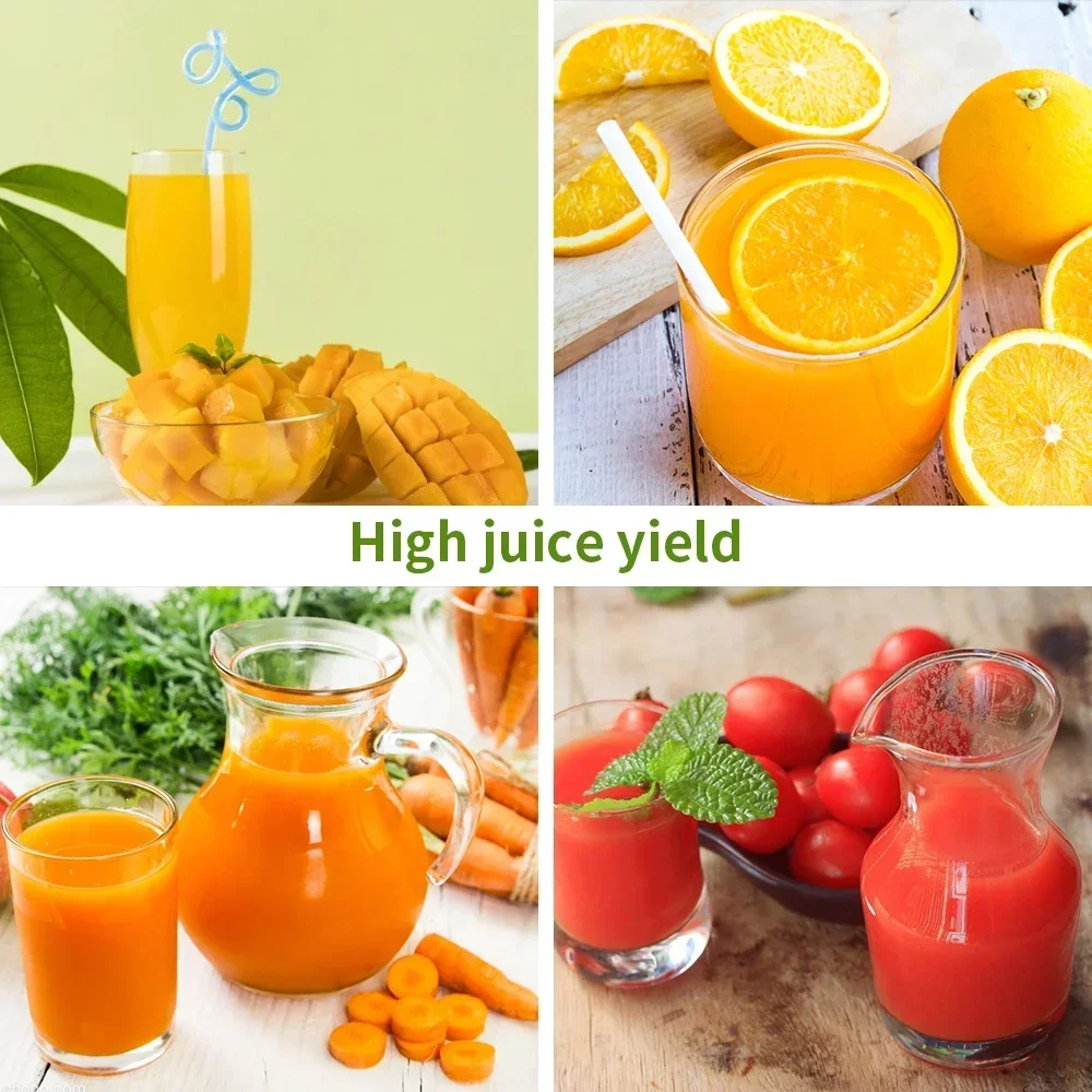 250W Slow Cold Press Fruit Jui - đánh giá và giá Cold Press Juicer